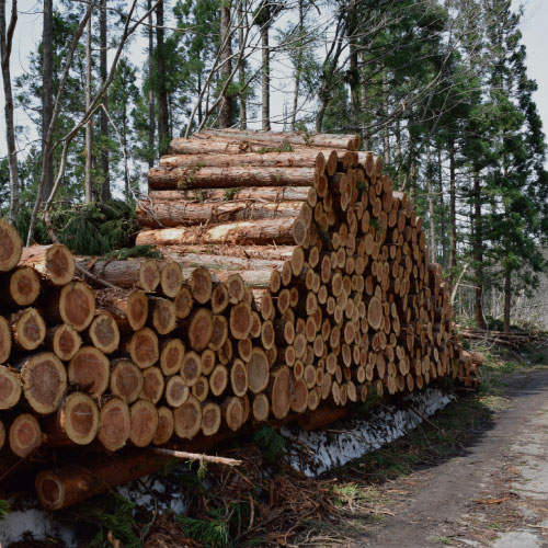 国産の木材を使用